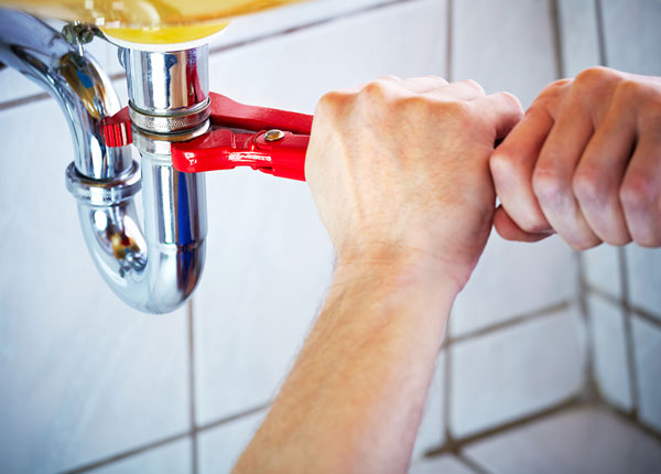About Daisytown Plumbers